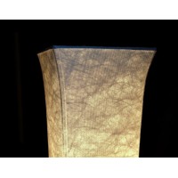 Leonc Design 52 Led Floor Lamp 2 Light Bulbs