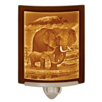 The Porcelain Garden Elephant And Calf- Fine Porcelain Curved Lithophane Night Light, Decorative Wall Plug In Nursery, Bedroom Kitchen, Bath, Hallway Animal Themed Accent Light