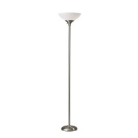 Adesso 750622 Glenn 300 Watt Floor Lamp Brushed Steel