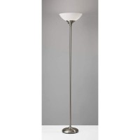 Adesso 750622 Glenn 300 Watt Floor Lamp Brushed Steel