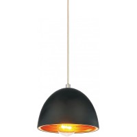 1 Light Down Mini Pendant With Black Finish