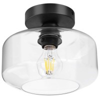 Tehenoo Industrial Ceiling Light Fixture,Clear Glass Shade, Semi Flush Mount Ceiling Light For Hallway, Entryway, Cafe, Bar, Corridor, Porch,Passway