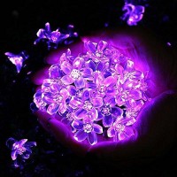 Fullbell String Lights, Purple Lights Room Decor Flower String Lights 33 Feet 100Led 8 Modes Wedding Party Indoor Outdoor Flower Lights Led Lights For Bedroom Birthday Decorations (Purple)