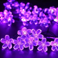 Fullbell String Lights, Purple Lights Room Decor Flower String Lights 33 Feet 100Led 8 Modes Wedding Party Indoor Outdoor Flower Lights Led Lights For Bedroom Birthday Decorations (Purple)