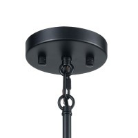 Livingston 10 Chandelier Matte Black/Satin Brass