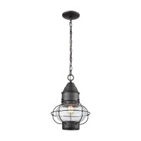 Onion 1 Outdoor Pendant Oil Rubbed Bronze