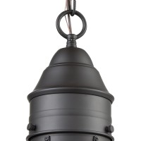 Onion 1 Outdoor Pendant Oil Rubbed Bronze