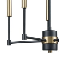 Livingston 5 Chandelier Matte Black/Satin Brass