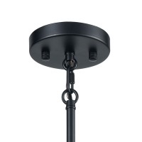 Livingston 5 Chandelier Matte Black/Satin Brass