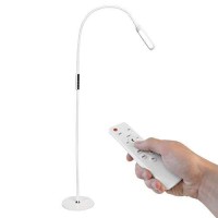 Syrinx Floor Lamp, Floor Led Lampled Light Lampremote Control & Touchadjustable Flexible Gooseneck (White)