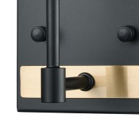 Livingston 1 Vanity Matte Black/Satin Brass