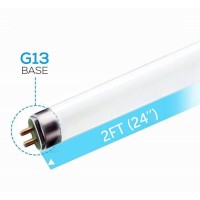 Circle (6 Pack F17T8/830 17W 24 Inch T8 Fluorescent Tube Light Bulb, 3000K Warm White, Medium Bi-Pin (G13) Base, 17 Watt T8 Light Bulbs