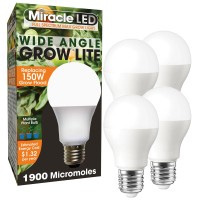 The MiracleLED wide angle grow light in full spectrum is an evolution for the indoor garden Grow multiple plants with more even coverage than traditional LED bulbs and at the fraction of the cost Sipping only 11W and replacing up to 150W this bulb runs at