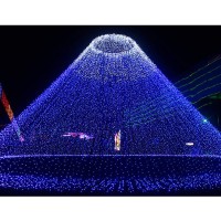 Twinkle Star 300 Led Window Fairy Curtain String Lights For Halloween Christmas Wedding Party Home Garden Bedroom Outdoor Indoor