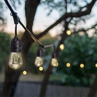 Sterno Home 48-Ft Vintage-Style Waterproof Outdoor Led String Lights - Hanging Edison Bulbs On Black Rubberized Cord - For Backyard, Weddings, Patio, Porch, And More.