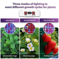 Kingled 2023 Newest 3000W Led Grow Lights With Yield Leds 4X2Ft Coverage Full Spectrum Grow Lights For Indoor Hydroponic Plants Greenhouse Growing Lamps Veg Bloom Daul Mode