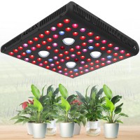 Aglex Cob Series Led Grow Light Full Spectrum Plant Grow Lamp With Daisy Chain Veg And Bloom Switch For Hydroponic Greenhouse Indoor Plant Veg And Flower (Cob 2000W)