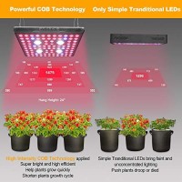 Aglex Cob Series Led Grow Light Full Spectrum Plant Grow Lamp With Daisy Chain Veg And Bloom Switch For Hydroponic Greenhouse Indoor Plant Veg And Flower (Cob 2000W)