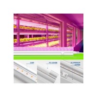 Moniosl Led Grow Lights For Seedlings Growing Strips For Indoor Plants 2Ft 60W6 X 10W T5 Clone Light Bars Extendable 24 Inch