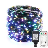 Er Chen 100Ft Led String Lights, 300 Led Starry Lights On 30M Green Copper Wire String Lights Power Adapter + Remote Control(Warm White)