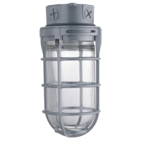 Lithonia Lighting Vc150I M12 Ceiling Mount Jelly Jar