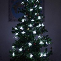 Chasgo Led Snowflake Light Battery Operated, 50 Led Christmas Light Cool White Snowflake Light For Christmas Party, Christmas Tree, Bedroom, Patio Decor