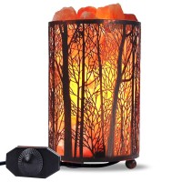 Himalayan Salt Lamp, Salt Rock Lamp Natural Night Light In Forest Design Metal Basket With Dimmer Switch (4.1 X 6.5