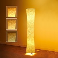 Chiphy Floor Lamp, Dimmable 52