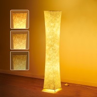 Chiphy Floor Lamp Dimmable 61 Tall Standing Lamp 3 Levels Adjustable Brightness 12Wx2 Led Bulbs Column Floor Light Wwhite