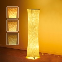 Chiphy Floor Lamp, Dimmable 52