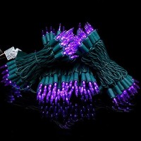 Yuletime Purple Led Christmas Lights With Green Wire, 66 Feet 200 Count Ul Certified Commercial Grade Led Halloween String Light Set (Purple - Green Wire)