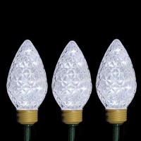 Northlight Christmas Decorations,Yard Art,Lawn Stakes, Clear