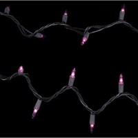 100 Ct Halloween String Light Set, Purple On Black Cord