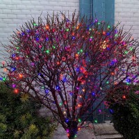 Jinbest 200 Led Multicolor Christmas Lights, Commercial Decorator Lights Green Wire 66 Ft, Ul Certified Always On Mini Light Set, For Indoor Outdoor Party, Garden, Patio.