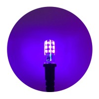 Prop And Scenery Lights Black Light Special Effects Ultraviolet Led Blacklight Bulbs With Cable Sockets12 Volts Dc 2 Watts For Props Theatrical Scenery 3 Pack