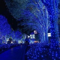 Joomer Blue Solar Christmas Lights 72Ft 200 Led 8 Modes Solar String Lights Waterproof Solar Fairy Lights For Christmas Decorations