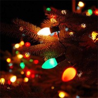 Goothy C7 Multicolor Christmas Lights Outdoor 25Ft Vintage Christmas String Lights With 27 Multicolor Ceramic Bulbs 2 Spare U