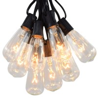 Hometown Evolution, Inc. Vintage Outdoor String Lights (50 Ft, St40 Clear Bulbs - Black Wire)