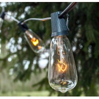 Hometown Evolution, Inc. Vintage Outdoor String Lights (50 Ft, St40 Clear Bulbs - Black Wire)