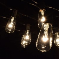 Hometown Evolution, Inc. Vintage Outdoor String Lights (50 Ft, St40 Clear Bulbs - Black Wire)