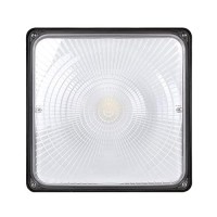 Cinoton 60W Led Canopy Light Outdoor, Ip65 Waterproof Commercial Canopy Lights 8400Lm Industrial Lighting For Gas Station Garage Warehouse Shop Hotel Ul&Dlc Listed 5000K Daylight 140Lm/W 1 Pack