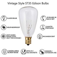 Sunsgne 25Ft Outdoor String Lights With 27 Edison Bulbs (2 Spare), Waterproof Connectable St35 String Light For Backyard Porch Balcony Party Decoration, E12 Socket Base, Black Wire