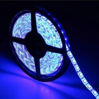 Velain 12V Led Strip Light Blue,16.4Ft Waterproof Flexible Rope Light, 300Leds Smd5050 Tape Ribbon Light For Home,Party, Bedroom,12V Power Supply Not Included