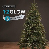 Lumineo 1392 Led Warm White Christmas 1-2 Glow Cluster Light Set, Green Wire