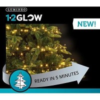 Lumineo 1392 Led Warm White Christmas 1-2 Glow Cluster Light Set, Green Wire