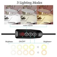 Magnifying Lamp With Clamp, 5X Magnifying Light Hands Free, Lighted Magnifier Desk Lamp With Long Swing Arm, Lighted Magnifying Glass Lamp (White)