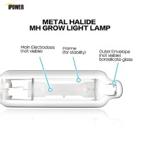 Ipower 2-Pack 1000W Vegetative Metal Halide Grow Light Bulb Mh Conversion Lamp For Plants, 2 Count (Pack Of 1)