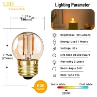 G40 Low Watt Light Bulb Edison Led Bulb Mini Globe Light Bulbs 1W Equivalent To 10Watt Incandescent E26 Screw Base Led Bulbs Ultra Warm White 2200K