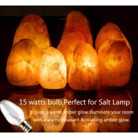 Snnalosses 15 Watt Nightlight Bulbs For Wax Warmers -Salt Lamp Bulbs- 15 Watt Light Bulbs For Scentsy Plug-In Warmer, Candle Warmer & Himalayan Salt Lamp - Warm White, 12 Pack