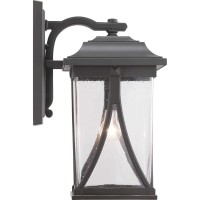 Progress Lighting Abbott Collection 1-Light Clear Seeded Glass Craftsman Outdoor Large Wall Lantern Light Antique Bronze, 20.25X10.38X10.38